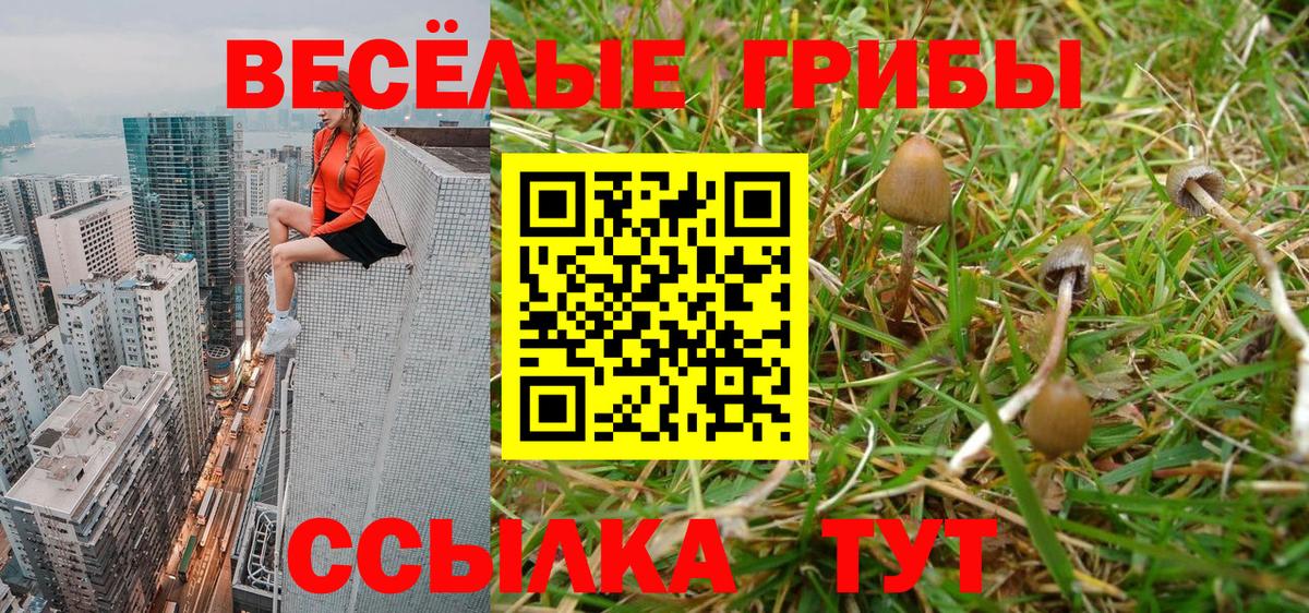 Псилоцибиновые грибы MAGIC MUSHROOMS Шелехов