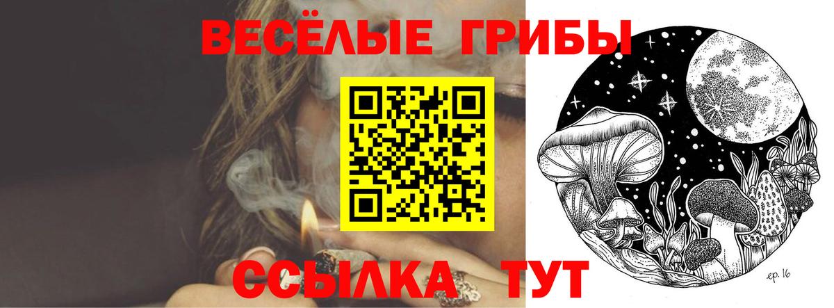 Галлюциногенные грибы мицелий  Вход с VPN  Шелехов 